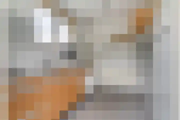 Oostwouder Dorpsstraat 85 Oostwoud thumbnail 20