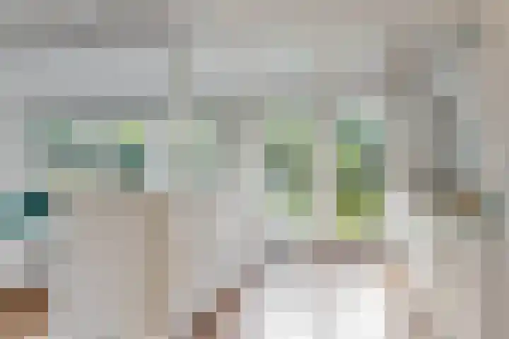 Oostwouder Dorpsstraat 85 Oostwoud thumbnail 6