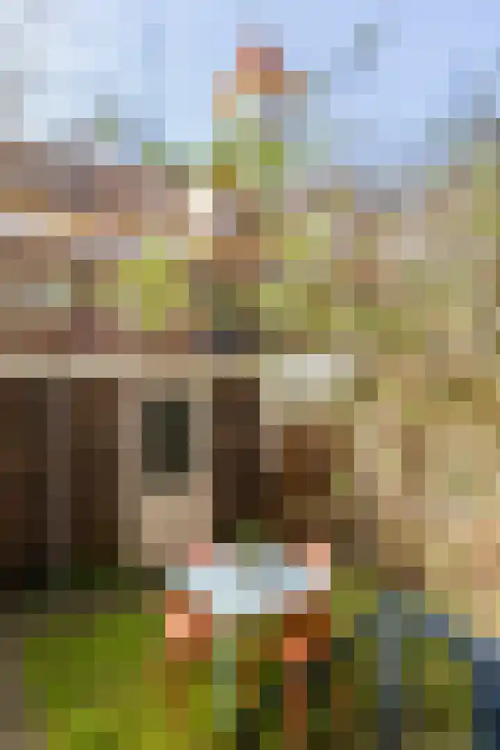Oostzaanstraat 265 Amsterdam thumbnail 12