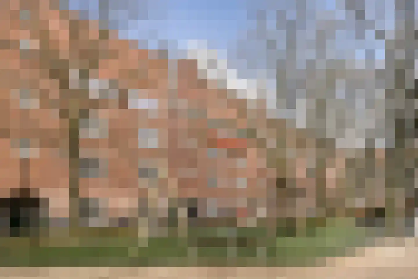 Oostzaanstraat 265 Amsterdam thumbnail 23