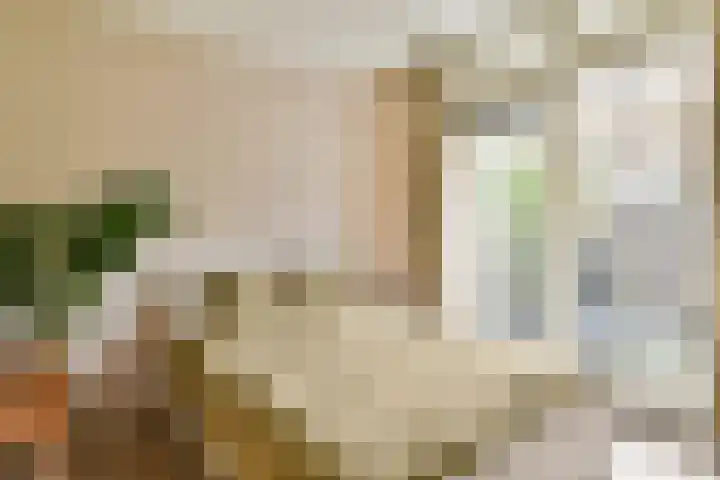 Oostzaanstraat 265 Amsterdam thumbnail 7