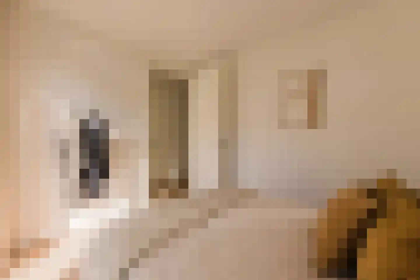 Oostzaanstraat 269 Amsterdam thumbnail 17