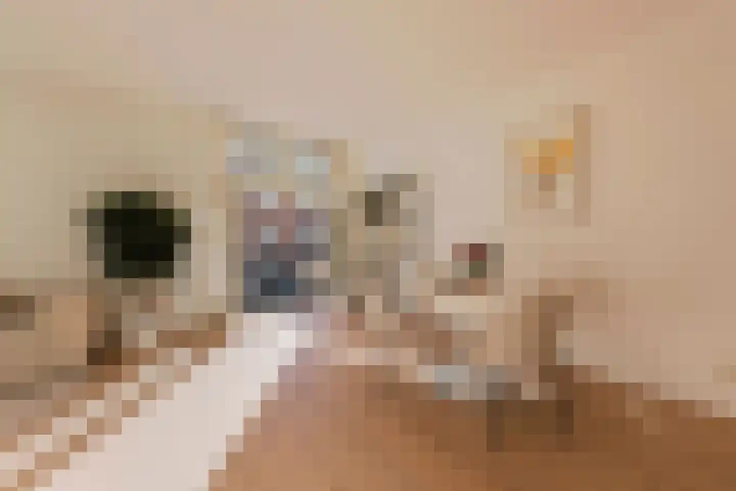 Oostzaanstraat 269 Amsterdam thumbnail 8