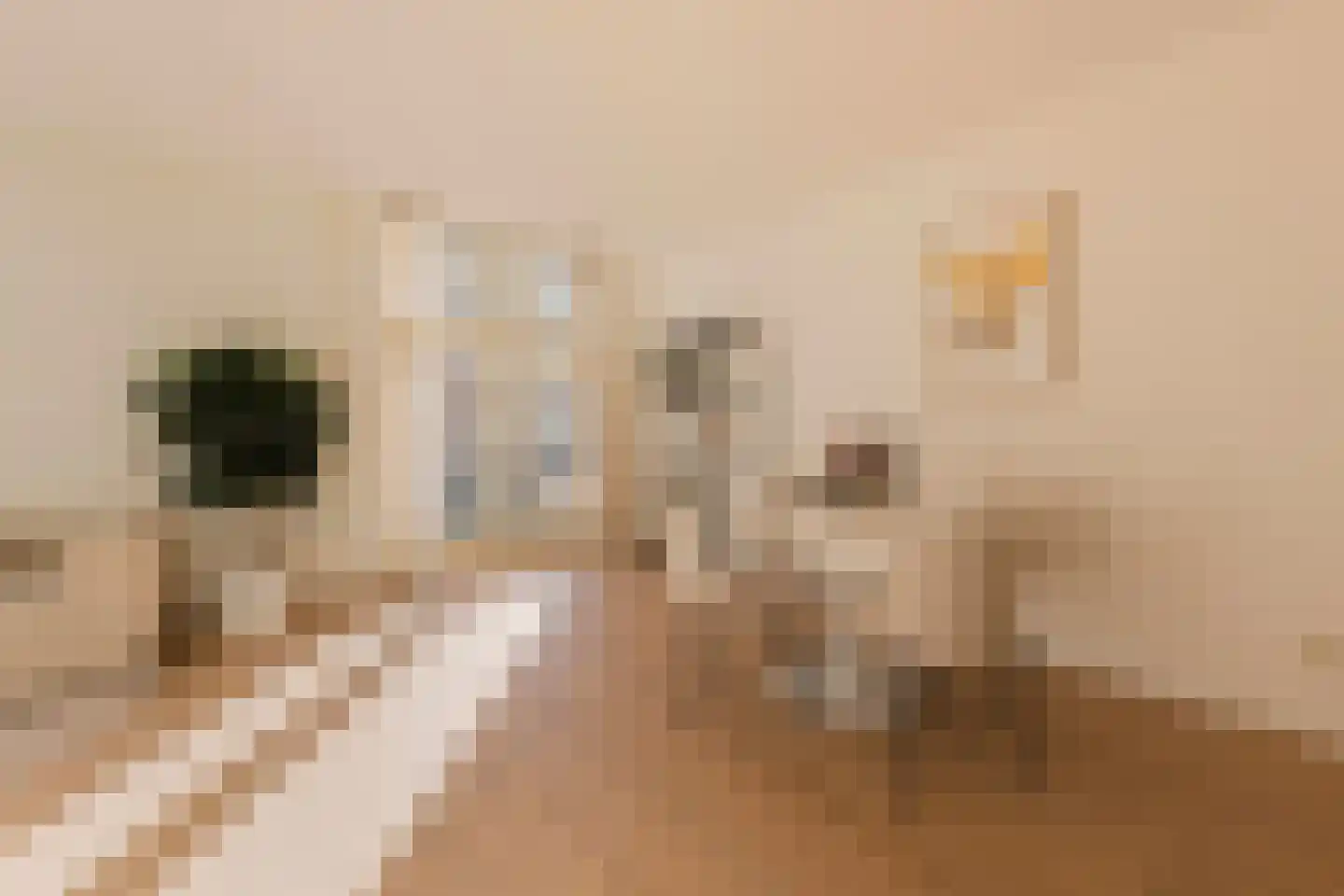 Oostzaanstraat 269 Amsterdam thumbnail 9