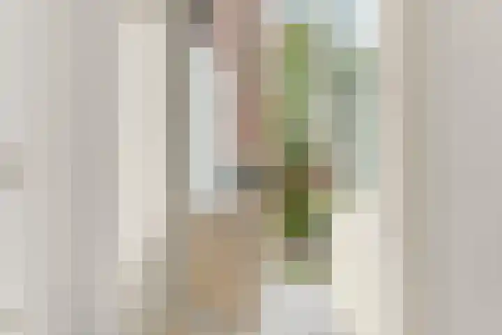 Oostzaanstraat 305 Amsterdam thumbnail 17