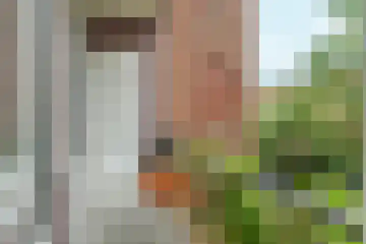 Oostzaanstraat 305 Amsterdam thumbnail 18