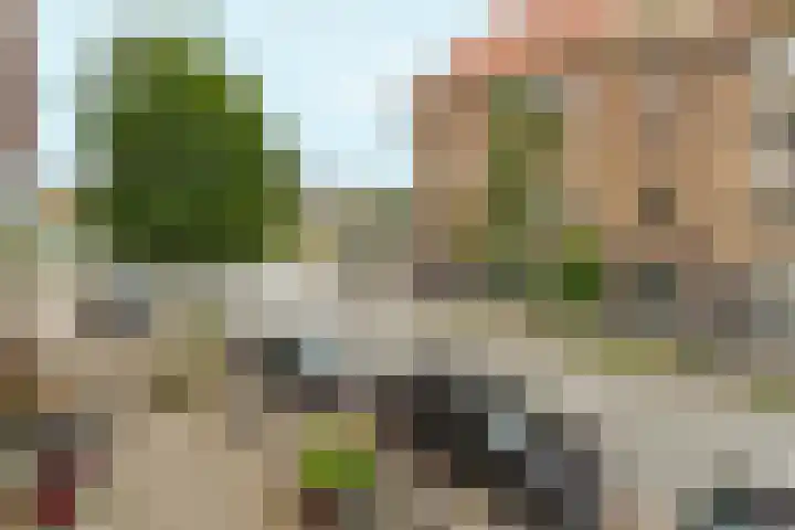 Oostzaanstraat 305 Amsterdam thumbnail 30