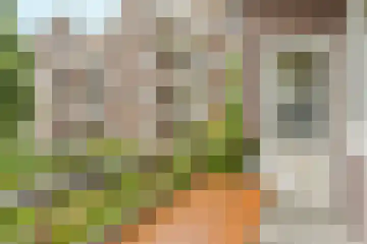 Oostzaanstraat 305 Amsterdam thumbnail 4