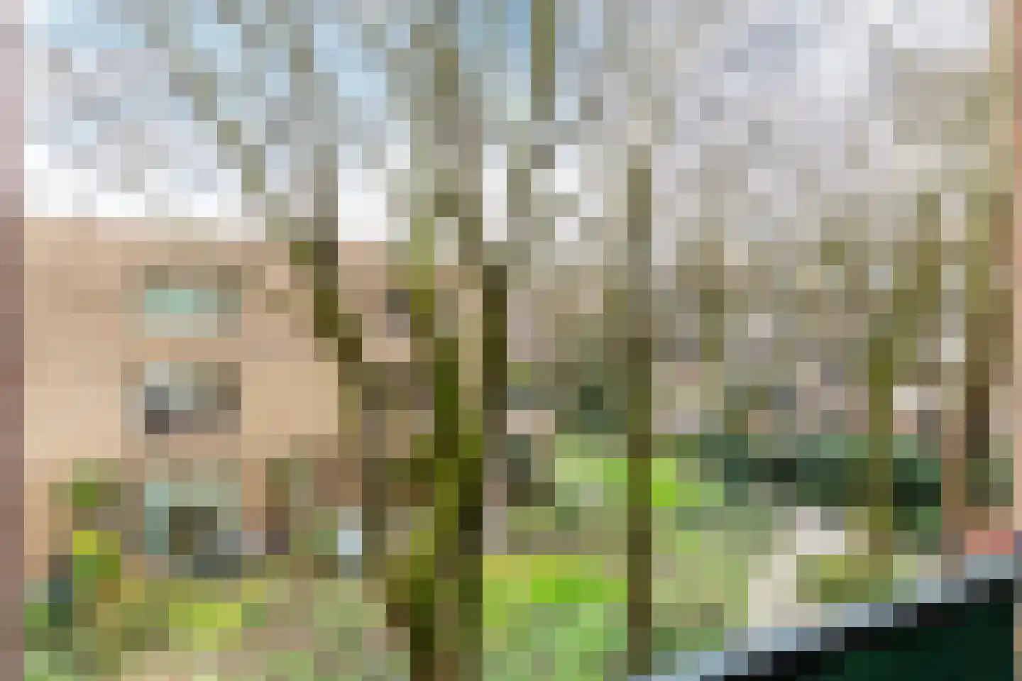 Oostzaanstraat 40 Amsterdam thumbnail 19