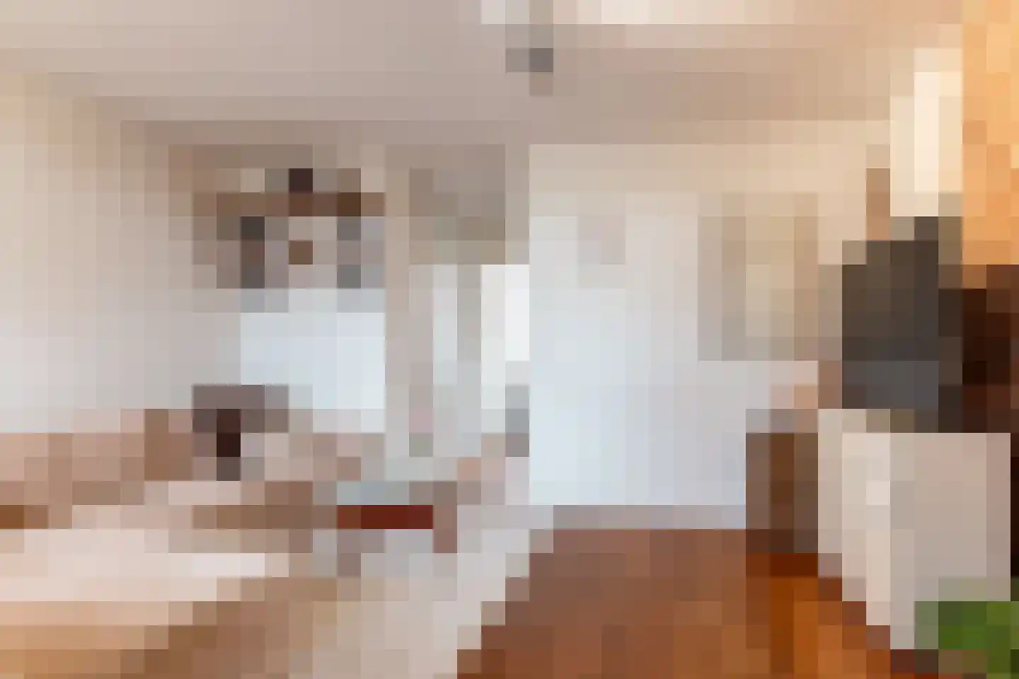 Oostzaanstraat 40 Amsterdam thumbnail 5