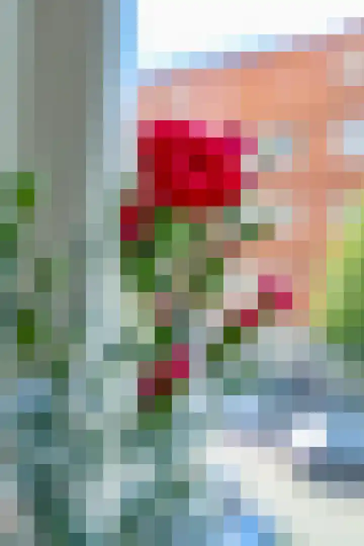 Oostzaanstraat 62 Amsterdam thumbnail 30