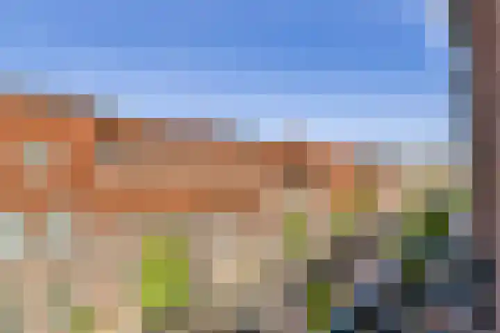 Oostzaanstraat 66 Amsterdam thumbnail 7