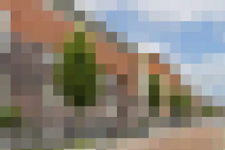 Oostzaanstraat 82 Amsterdam thumbnail 17