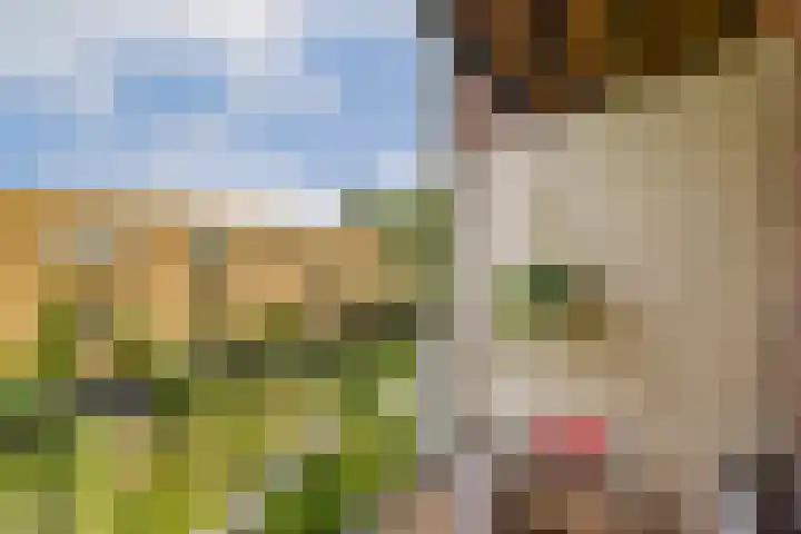 Oostzaanstraat 82 Amsterdam thumbnail 9