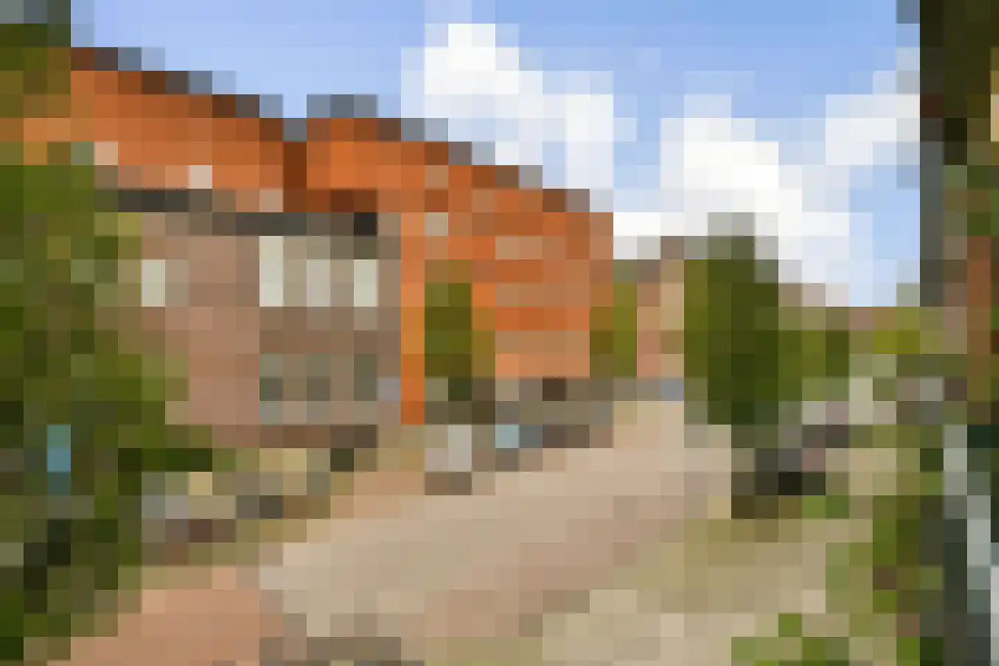 Oostzaanstraat 90 Amsterdam thumbnail 22