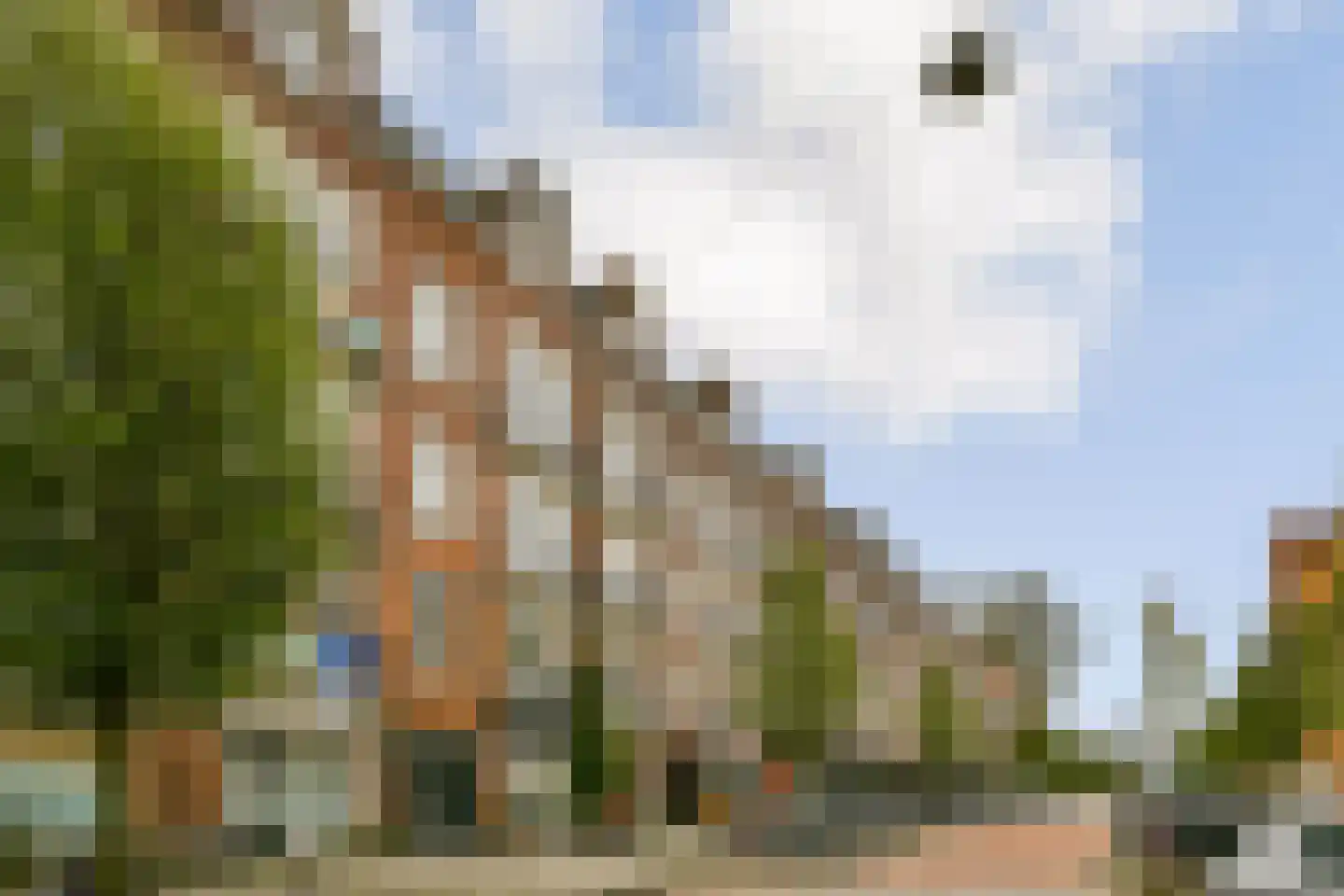 Oostzaanstraat 90 Amsterdam thumbnail 24