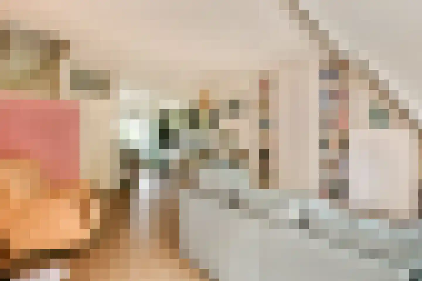 Oostzanerdijk 101 Amsterdam thumbnail 8