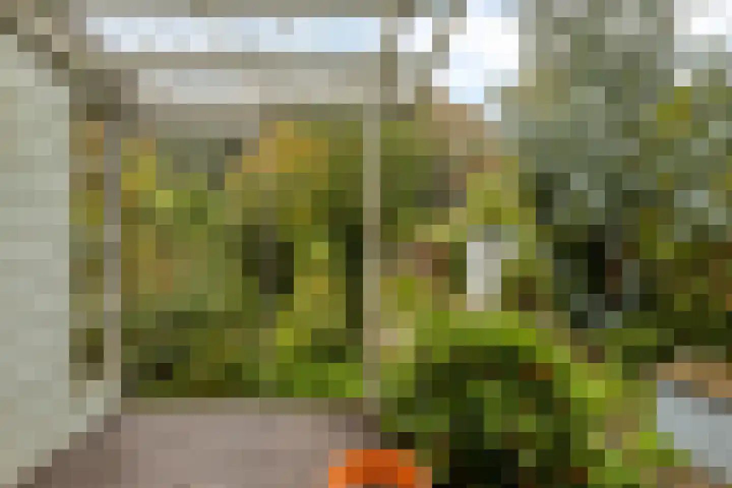 Oostzanerdijk 130 Amsterdam thumbnail 6