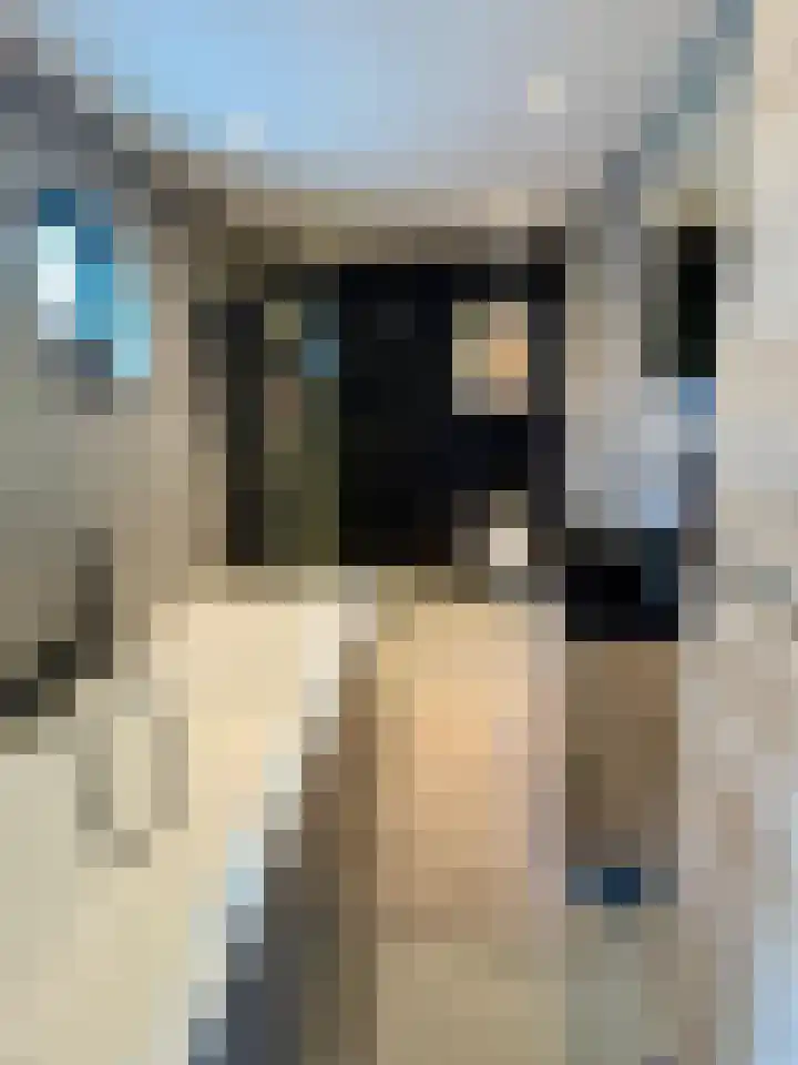 Oostzanerdijk 157 Amsterdam thumbnail 8