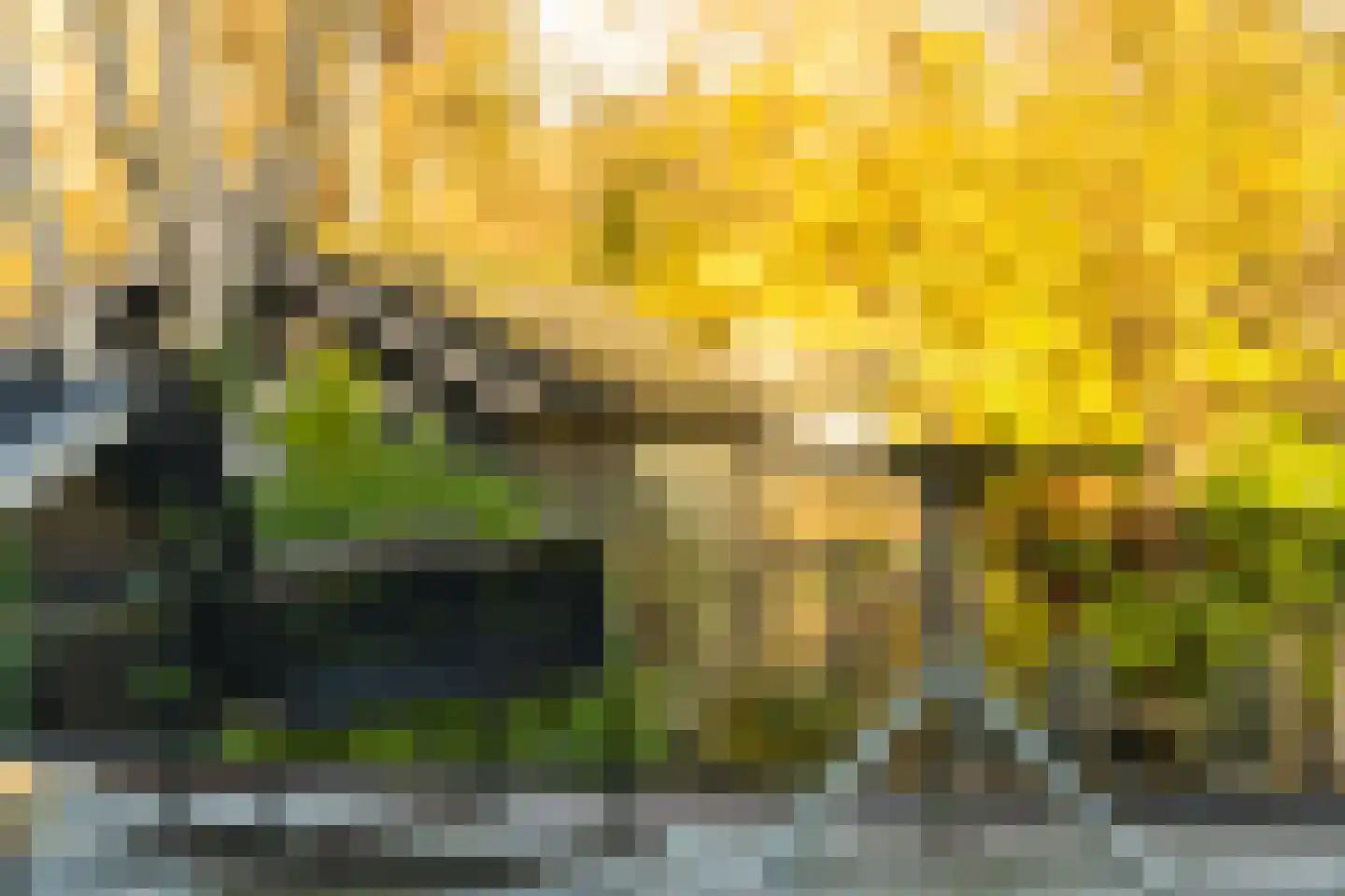 Oostzanerdijk 92 Amsterdam thumbnail 9