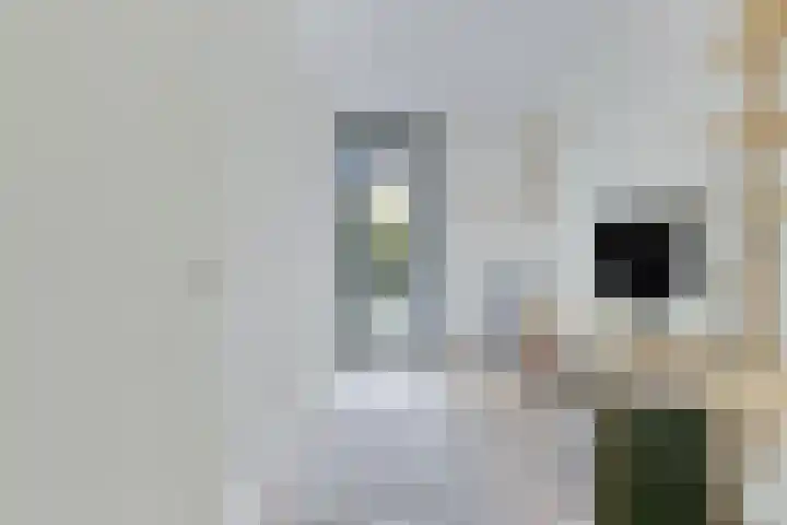 Oostzee 26 Amersfoort thumbnail 24
