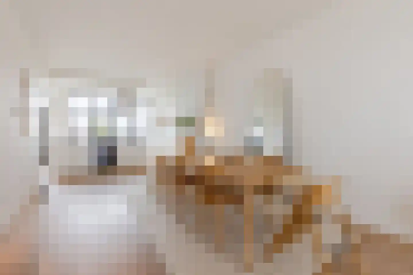 Oostzeedijk 118 A Rotterdam thumbnail 10