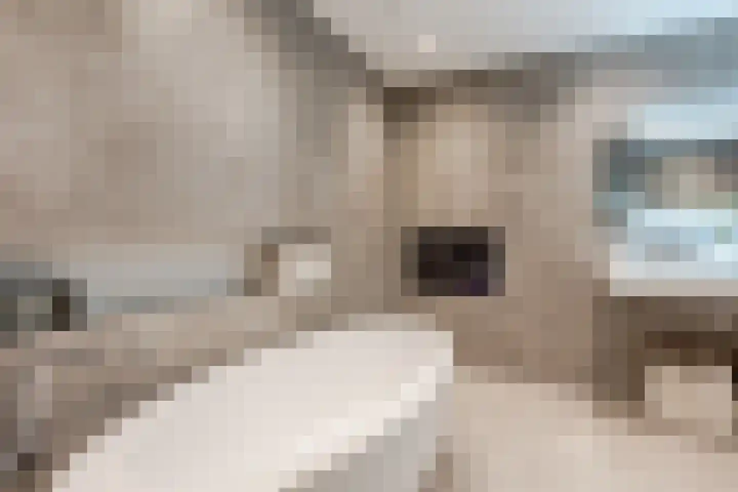 Oostzeedijk 118 A Rotterdam thumbnail 27