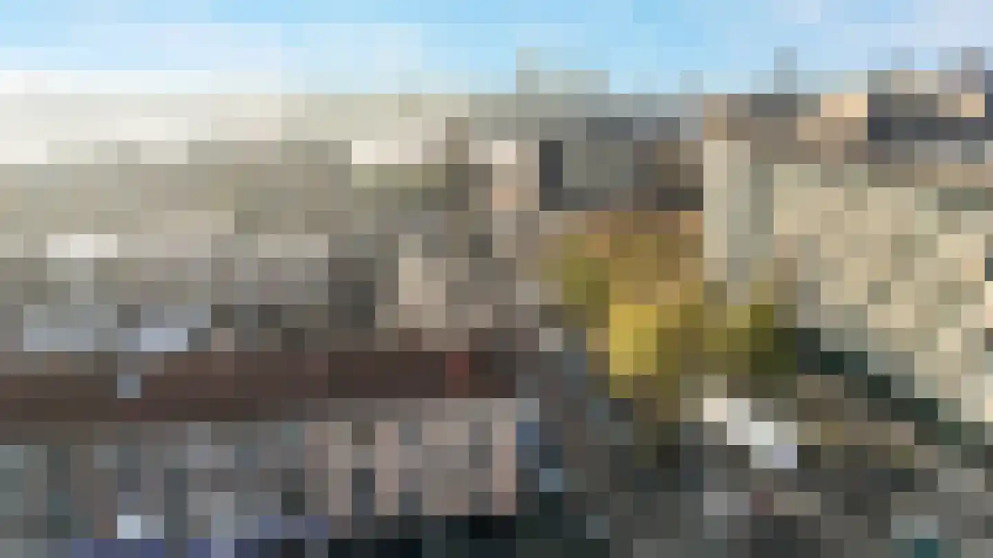 Oostzeedijk 170 C Rotterdam thumbnail 34