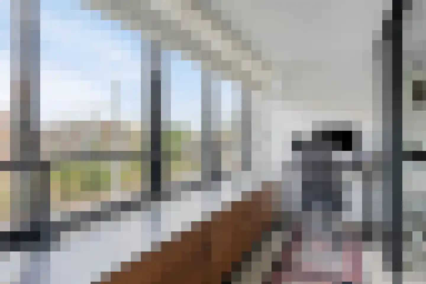 Oostzeedijk 294 A Rotterdam thumbnail 10