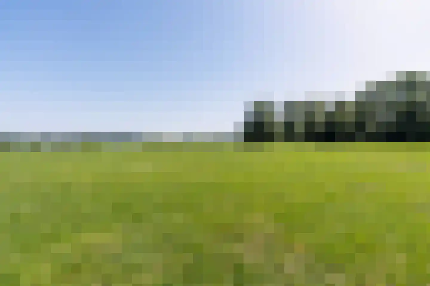 Oostzeedijk 294 D Rotterdam thumbnail 10