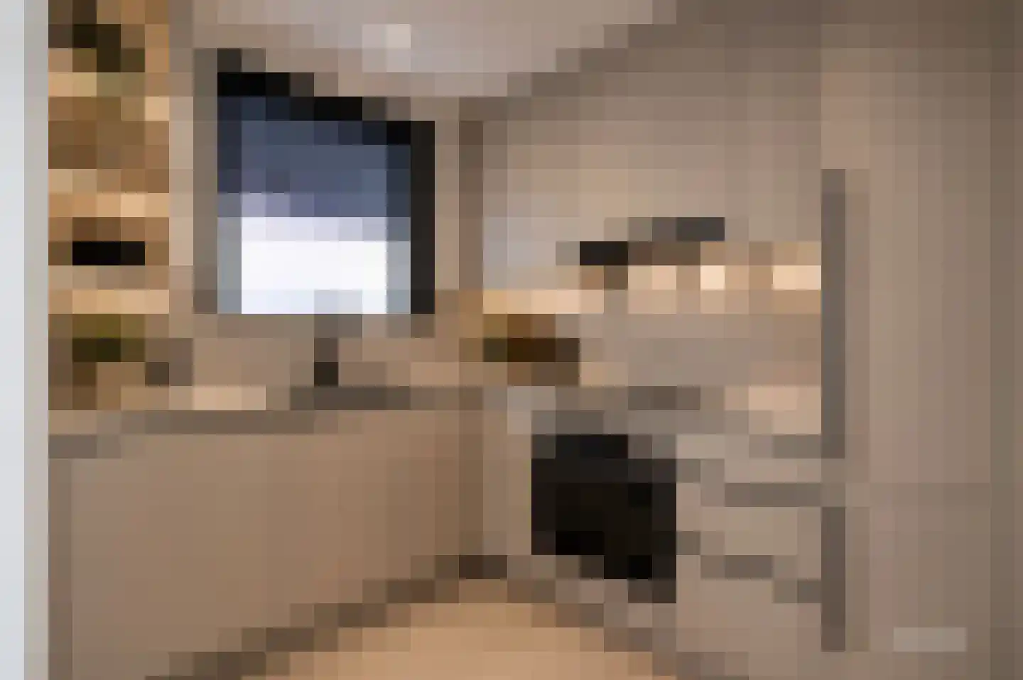 Oostzeedijk 294 D Rotterdam thumbnail 14