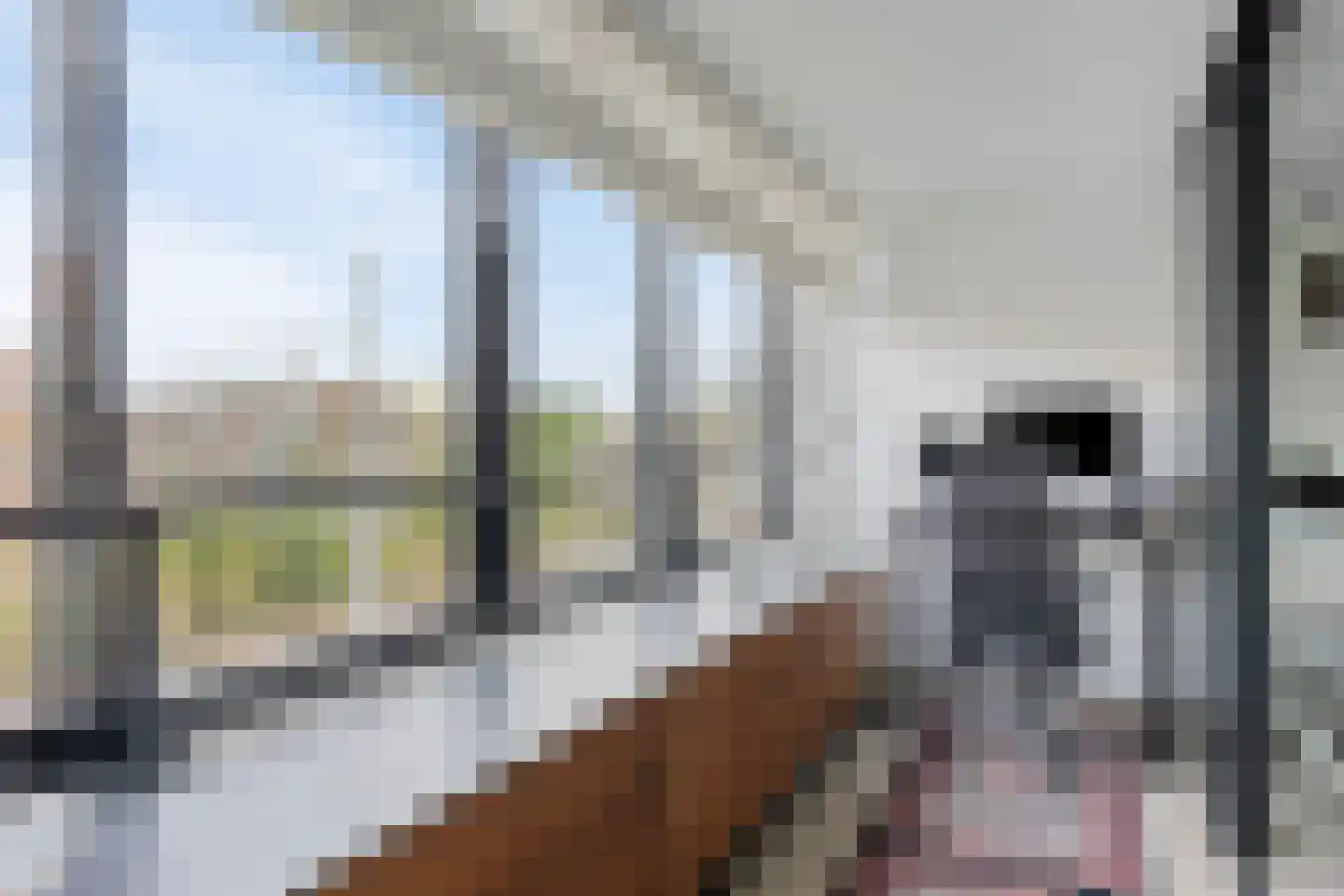 Oostzeedijk 294 E Rotterdam thumbnail 10