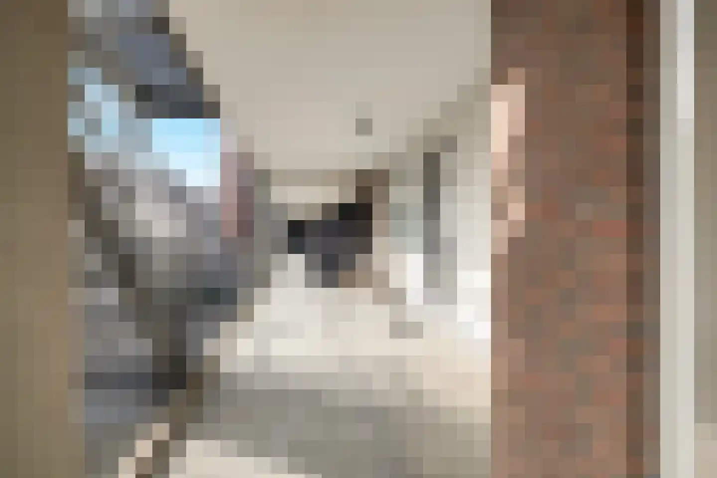 Oostzeedijk 326 C Rotterdam thumbnail 30