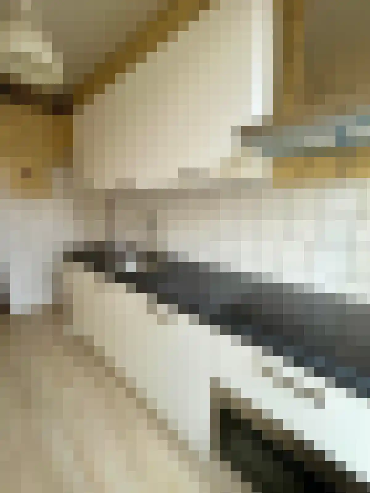 Oostzeedijk 334 Rotterdam thumbnail 5