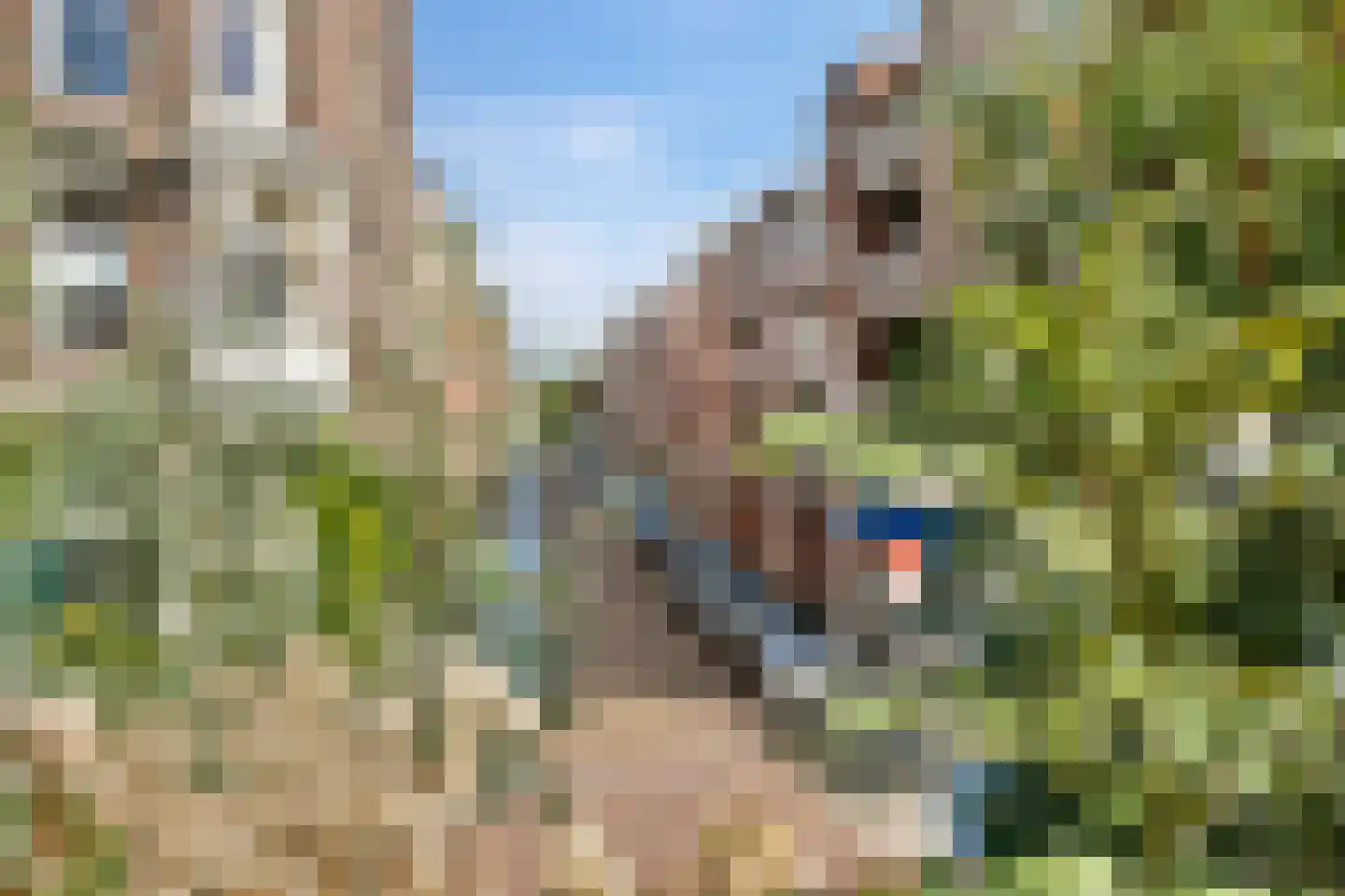 Oostzeedijk 44 A 01 Rotterdam thumbnail 12