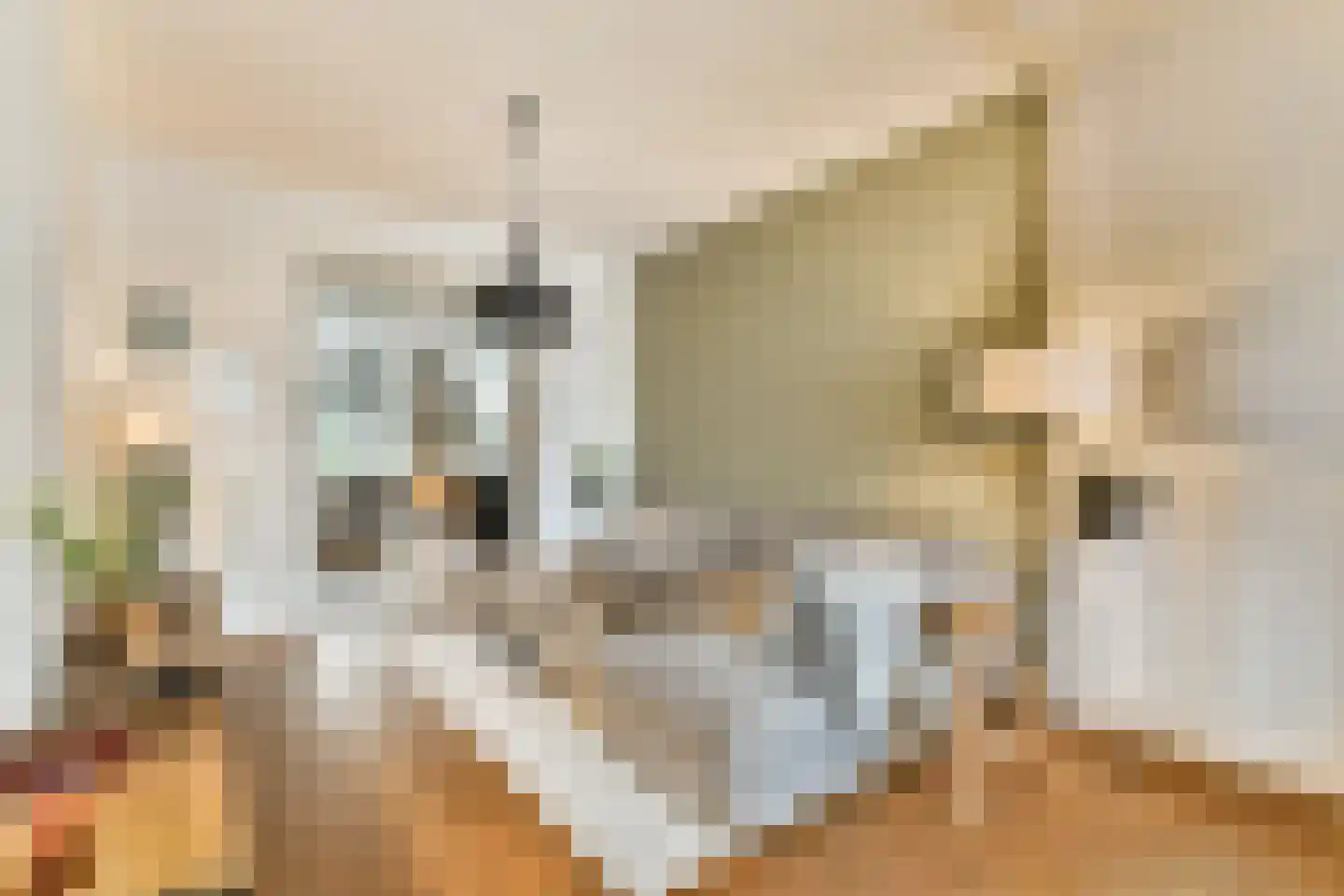 Oostzeedijk 44 A 02 Rotterdam thumbnail 10