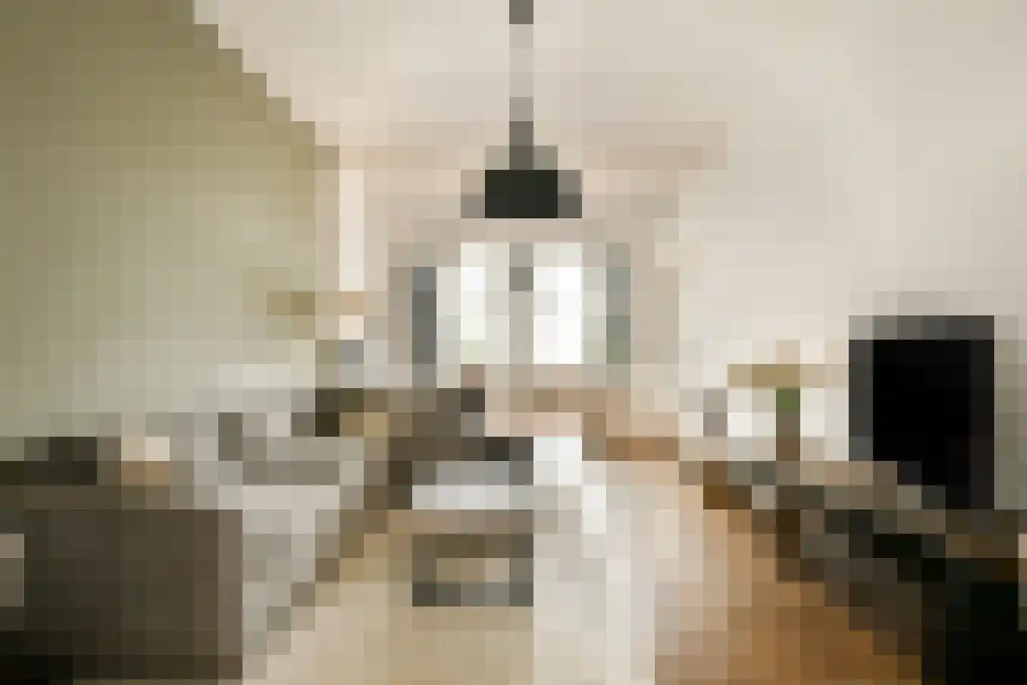 Oostzeedijk 44 B Rotterdam thumbnail 7