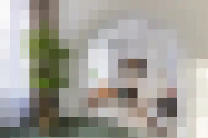 Oostzeedijk Beneden 13 B Rotterdam thumbnail 15