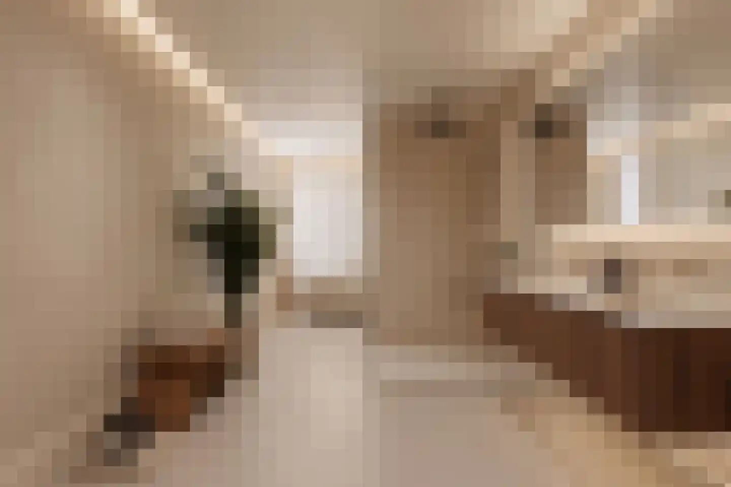 Oostzeedijk Beneden 13 C Rotterdam thumbnail 30