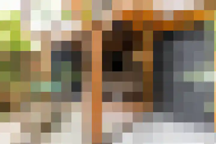Oostzeedijk Beneden 161 A 01 Rotterdam thumbnail 28
