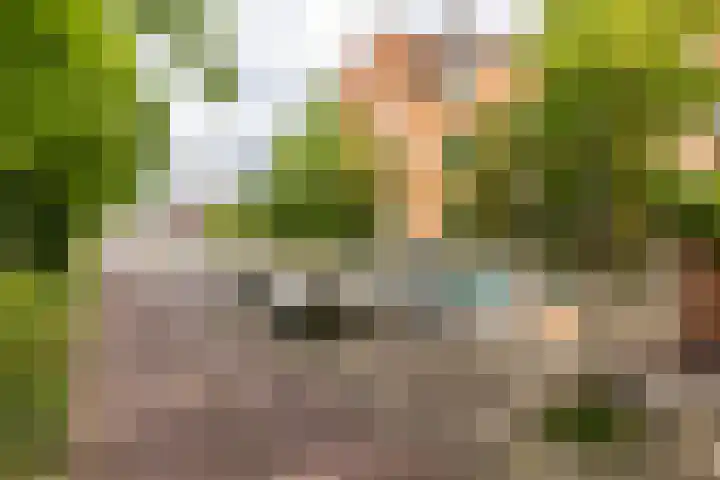 Oostzeedijk Beneden 161 A 01 Rotterdam thumbnail 39