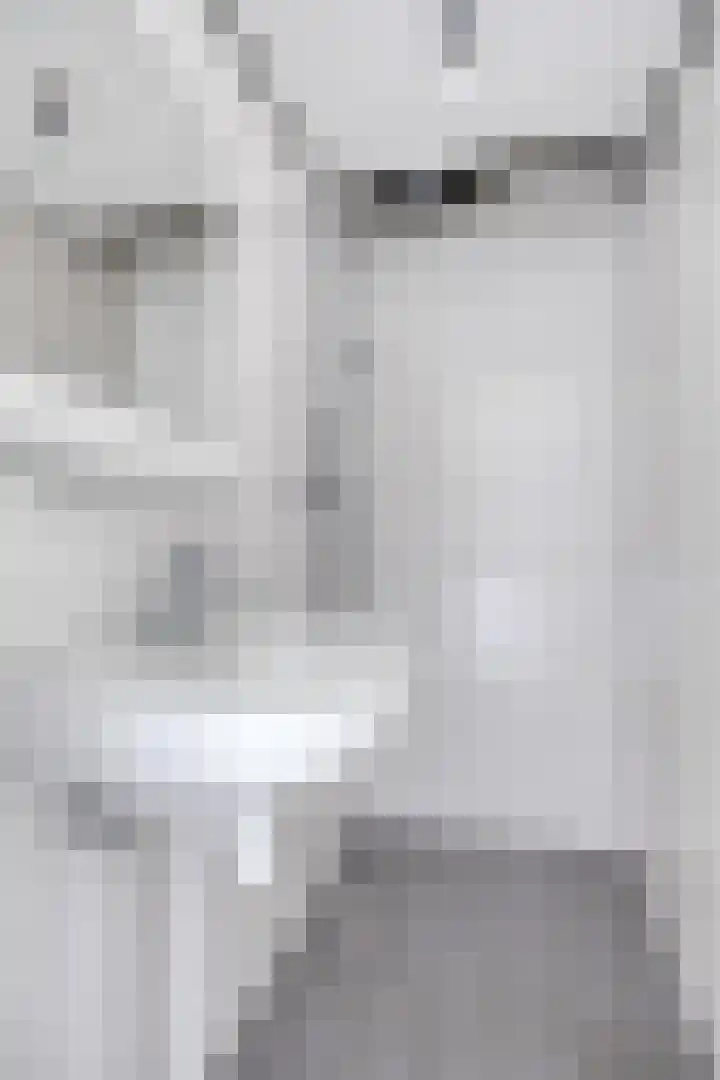 Oostzeedijk Beneden 201 A Rotterdam thumbnail 20