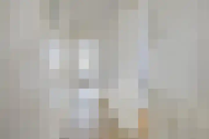 Oostzeedijk Beneden 201 A Rotterdam thumbnail 7