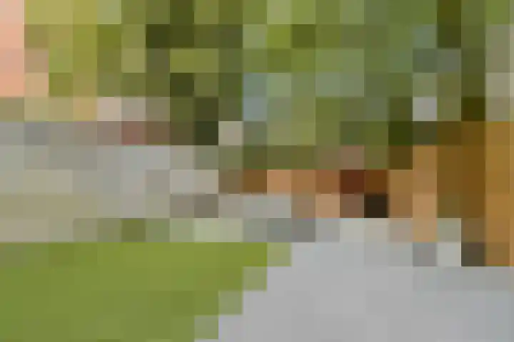 Oostzeedijk Beneden 211 A Rotterdam thumbnail 25