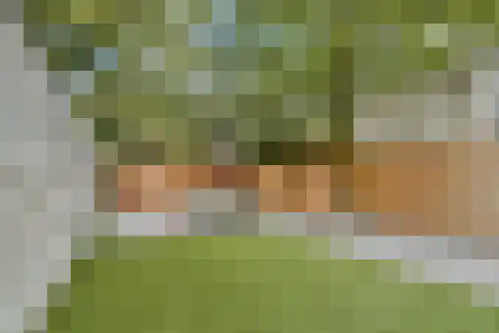 Oostzeedijk Beneden 211 A Rotterdam thumbnail 26