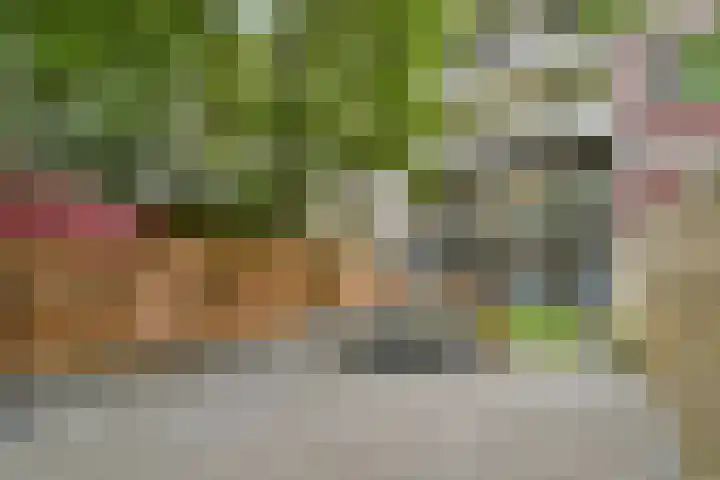 Oostzeedijk Beneden 211 A Rotterdam thumbnail 27