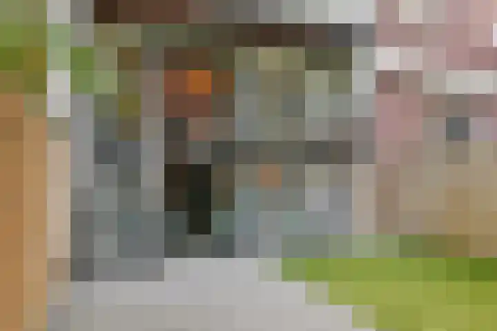Oostzeedijk Beneden 211 A Rotterdam thumbnail 28