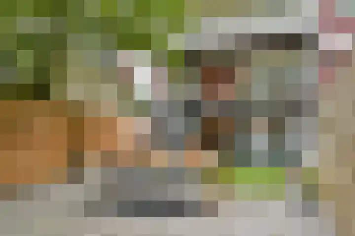 Oostzeedijk Beneden 211 A Rotterdam thumbnail 4