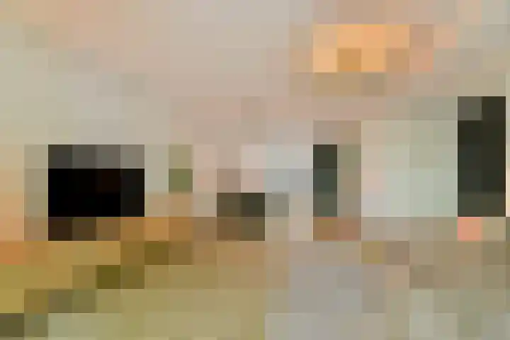 Oostzeedijk Beneden 211 A Rotterdam thumbnail 9