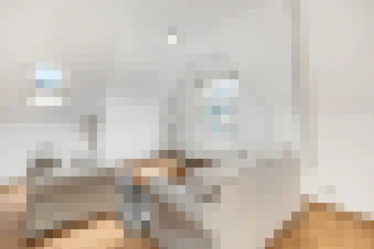 Oostzeedijk Beneden 211 B 01 Rotterdam thumbnail 10